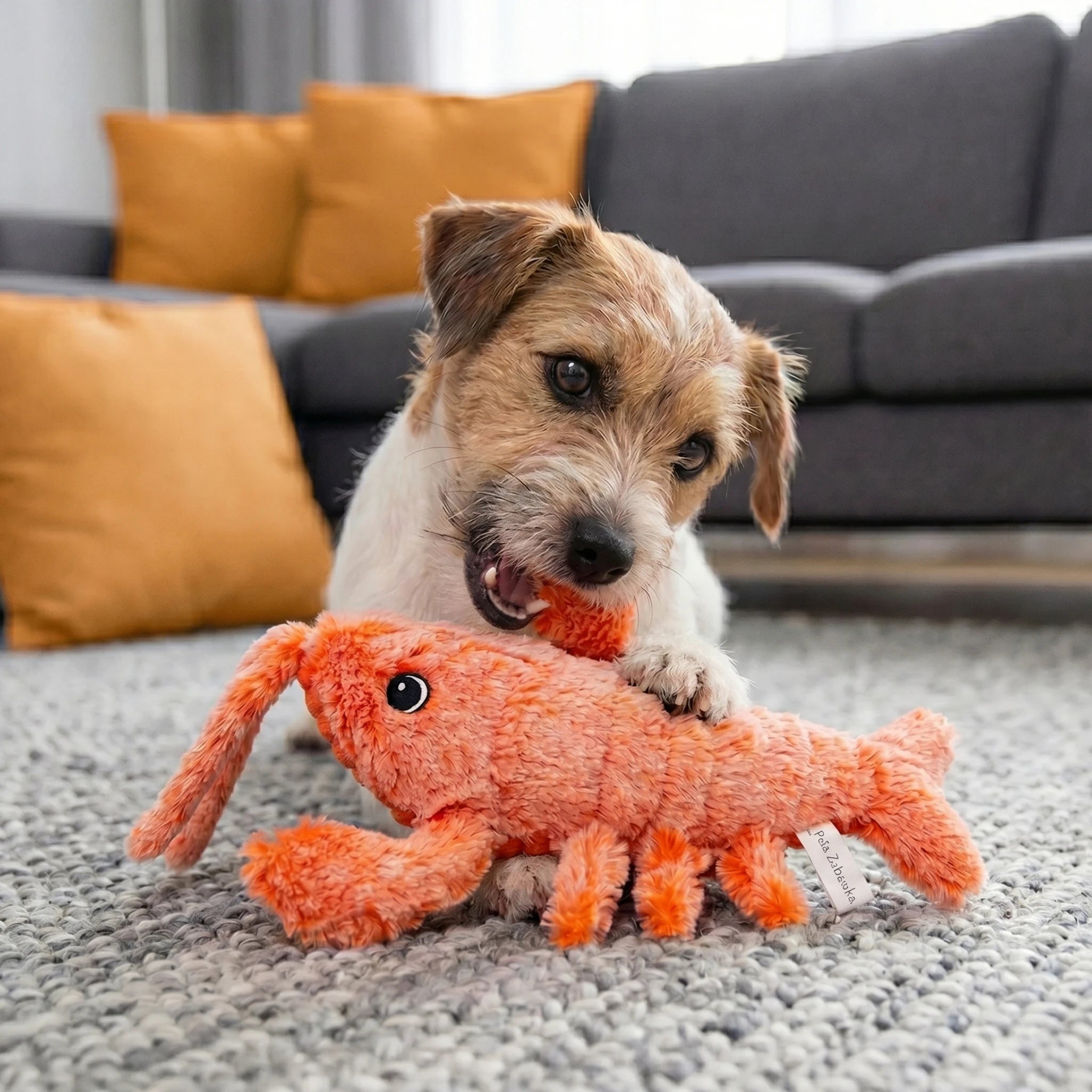 Shrimp Plush Dog Toy⎜Chewing and Active Play