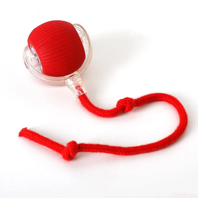 Cat Toy Ball with String ⎜ Bouncing and Chewing for Independent Play