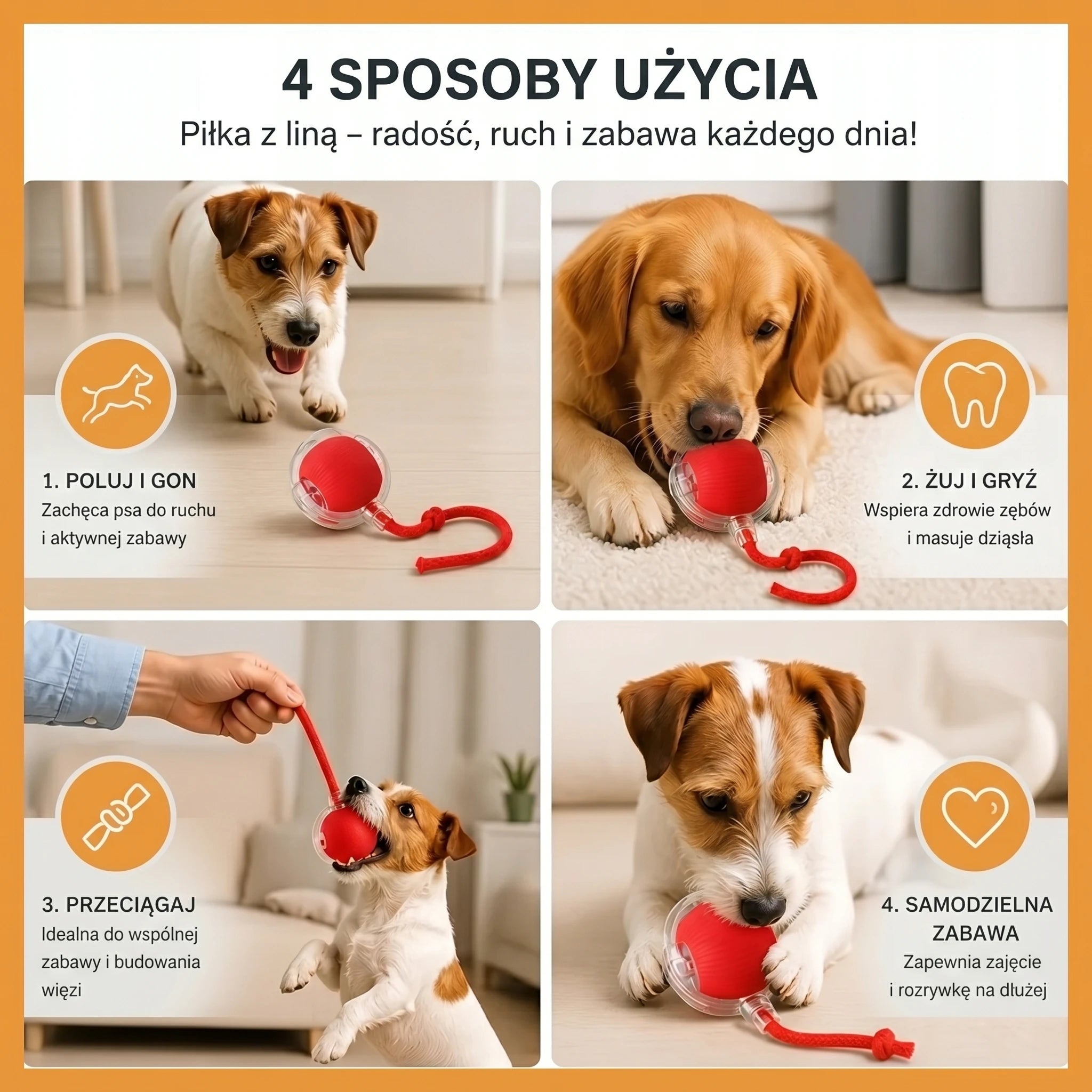 Dog Toy Ball with Rope ⎜ Chewing & Solo Play