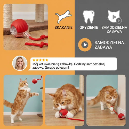 Kocia Zabawka Piłka z Sznurkiem ⎜ Skakanie i Gryzienie dla Samodzielnej Zabawy