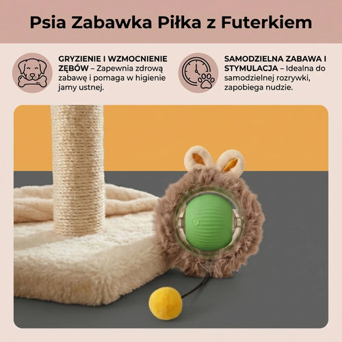 Psia Zabawka Piłka z Futerkiem ⎜ Gryzienie i Samodzielna Zabawa